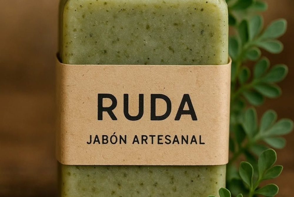 495582664_665370109750104_6698307700512687041_n